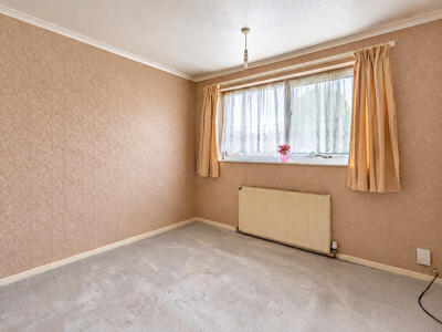 Picture 7